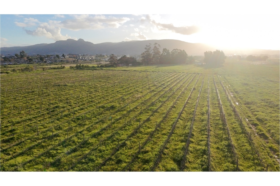 0 Bedroom Property for Sale in Klein Nederburg Western Cape